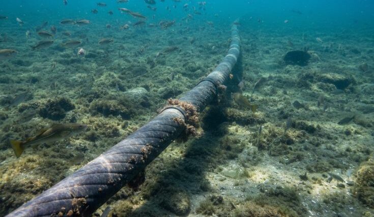 Awaria kluczowego połączenia energetycznego między Polską a Szwecją