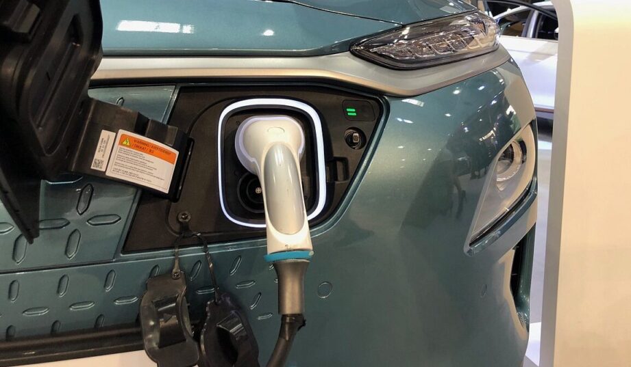 Ile Polak jest gotowy wydać na elektryka