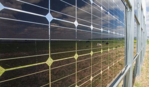 Pionowe panele APV na p&oacute;łnocy Europy? Badanie pokazuje, że to się opłaca