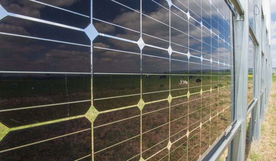 Pionowe panele APV na p&oacute;łnocy Europy? Badanie pokazuje, że to się opłaca