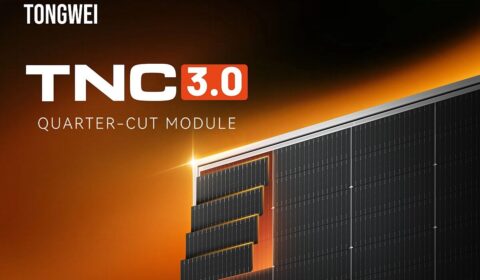 Tongwei z premierą flagowych moduł&oacute;w TNC na targach ENEX 2026
