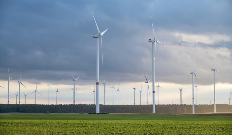 Obowiązek OZE bez opłaty zastępczej. Skorzystają producenci zielonej energii