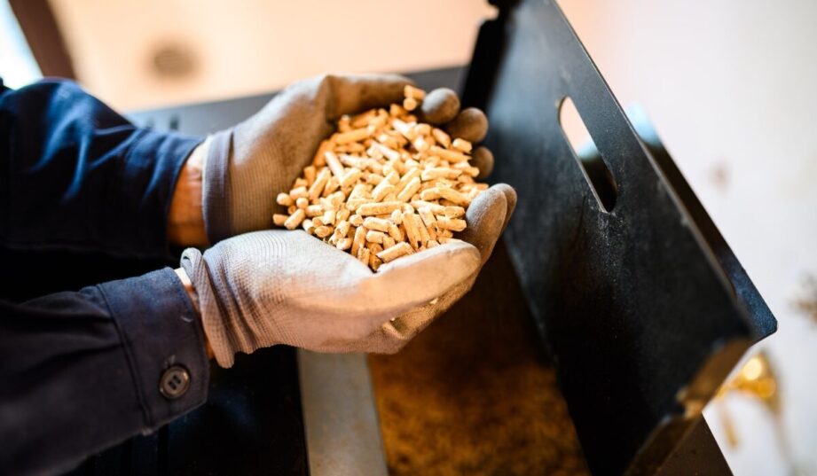 Polska zwiększa import pelletu. Plany rządu zakładają dalszy wzrost wykorzystania biomasy