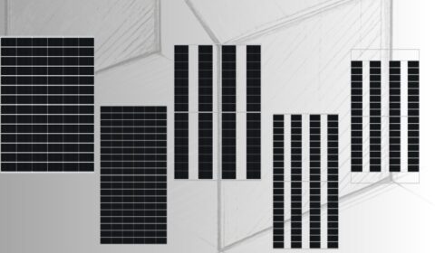 DMEGC Solar: Wyższa efektywność projekt&oacute;w Agri-PV dzięki technologii G12RT