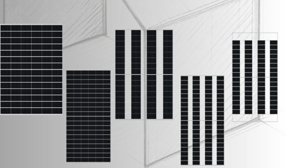 DMEGC Solar: Wyższa efektywność projekt&oacute;w Agri-PV dzięki technologii G12RT