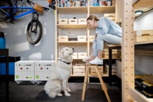 Magazyn energii FreenBSL