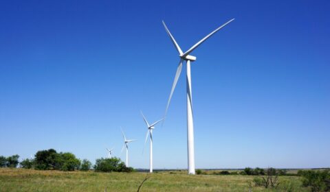 Dewelopment farm wiatrowych - szkolenie online