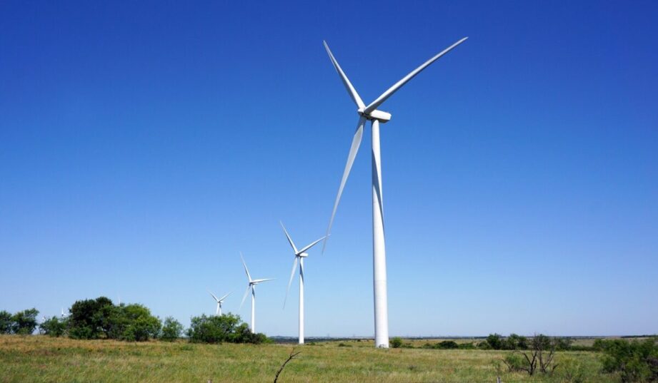 Dewelopment farm wiatrowych - szkolenie online