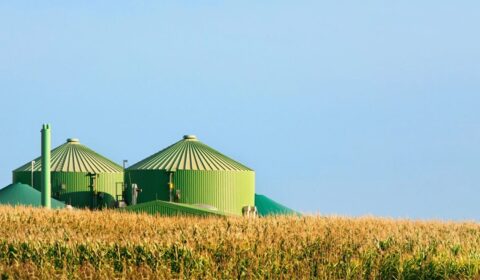 Nowe rozdanie w biometanie: 30 kwietnia rusza nab&oacute;r wniosk&oacute;w o dotacje