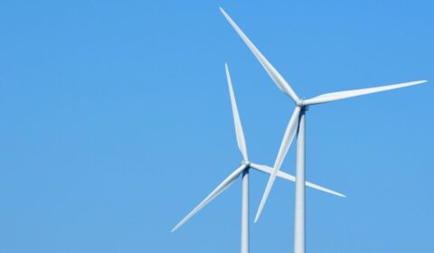 Czy farmy wiatrowe szkodzą? Fakty i dane zamiast mit&oacute;w