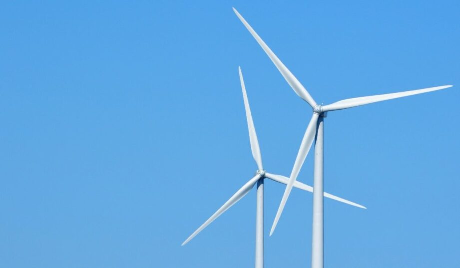 Czy farmy wiatrowe szkodzą? Fakty i dane zamiast mit&oacute;w