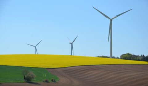 Engie przejmuje farmę wiatrową w Zachodniopomorskiem