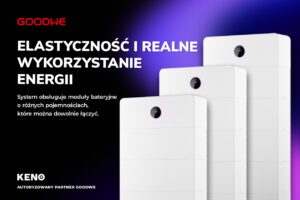 System obsługuje moduły bateryjne o różnych pojemnościach, które można dowolnie łączyć. System obsługuje moduły bateryjne o różnych pojemnościach, które można dowolnie łączyć.
