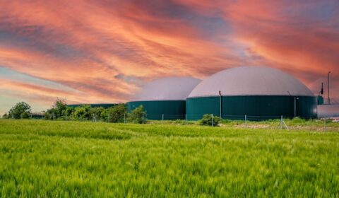 BGK stawia na biometan. Zainwestuje 25 milion&oacute;w euro w europejskie projekty