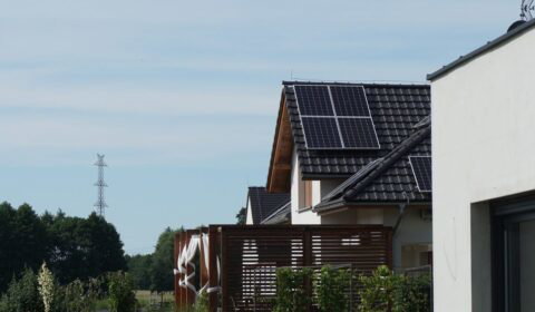 Dzięki fotowoltaice Niemcy zaoszczędzili 20 mld euro na imporcie paliw