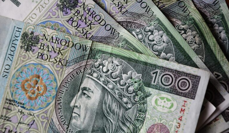 Polacy zapłacą rachunek za bezczynność. Koszt może sięgnąć 124 mld zł