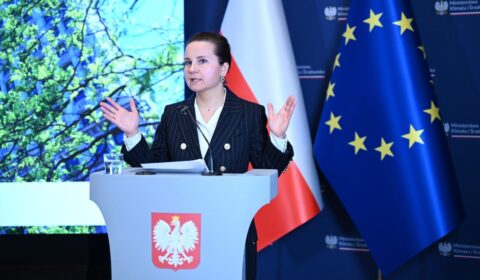 Chińskie wiatraki na Bałtyku? Rząd widzi zagrożenie, ale nie chce blokować