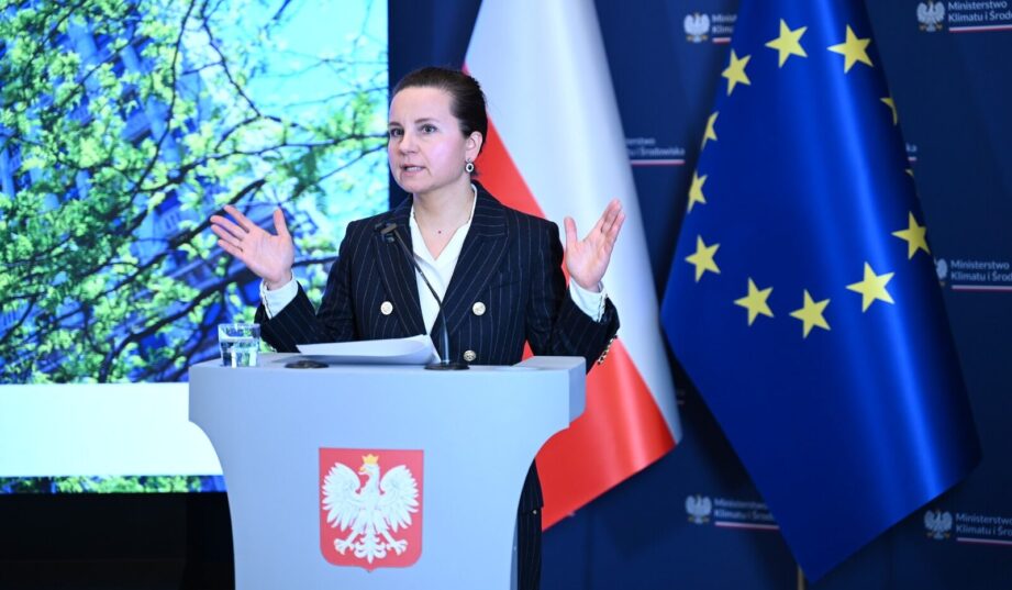 Chińskie wiatraki na Bałtyku? Rząd widzi zagrożenie, ale nie chce blokować