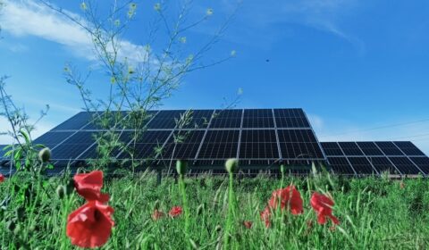 Znowu duże wyłączenia fotowoltaiki. Właściciele elektrowni PV stracili kilkanaście procent generacji
