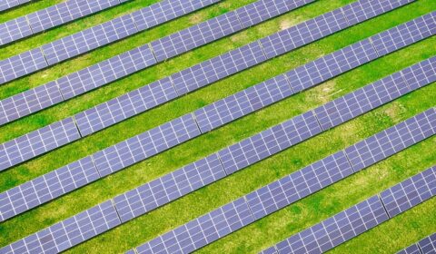 Fotowoltaika liderem wśr&oacute;d OZE. Zapewniła ponad 20 proc. energii w Polsce