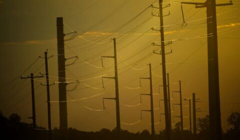 Rekordowe upały w Europie uderzają w rolnictwo i energetykę