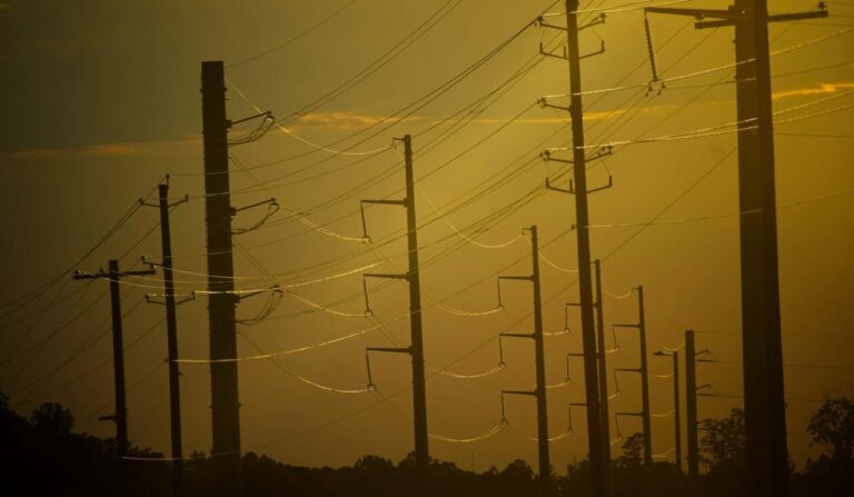 Rekordowe upały w Europie uderzają w rolnictwo i energetykę