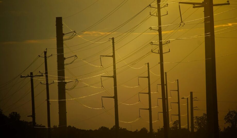 Rekordowe upały w Europie uderzają w rolnictwo i energetykę