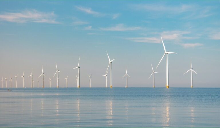 TotalEnergies zbuduje morską farmę wiatrową za 4,5 mld euro
