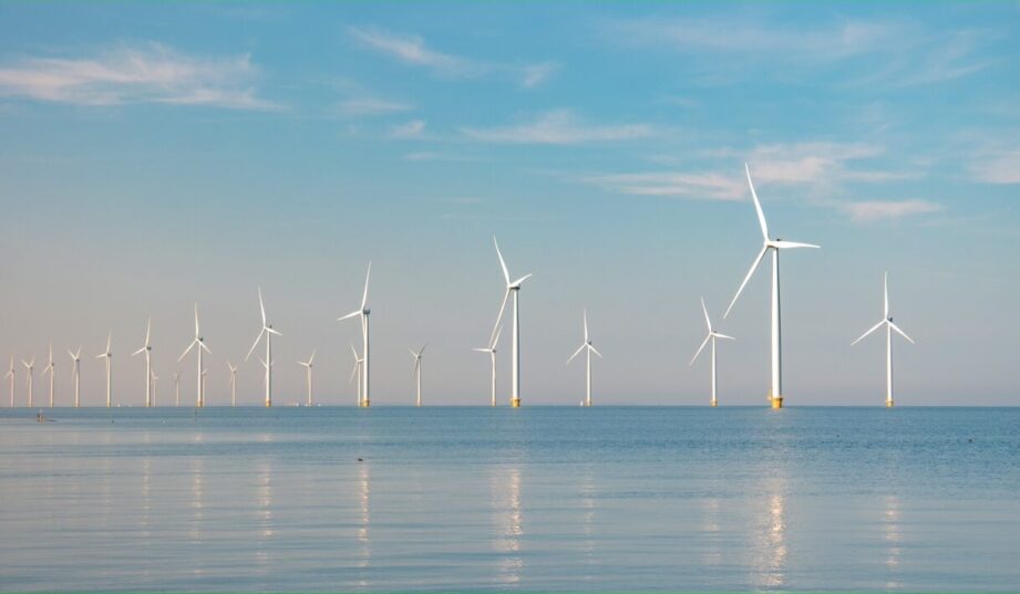 TotalEnergies zbuduje morską farmę wiatrową za 4,5 mld euro
