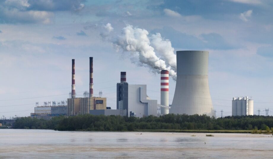 Elektrownia Kozienice pod lupą. Nawet 100 mln ryb rocznie ginie w Wiśle