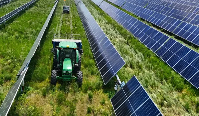 Trackery podbijają rynek PV. W 2025 roku popyt wzr&oacute;sł o 19 procent
