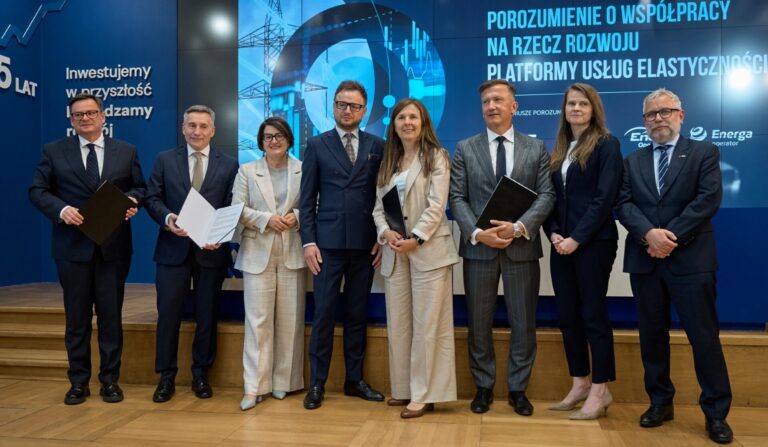 Elastyczność sieci kluczowa dla OZE. TGE łączy siły z operatorami