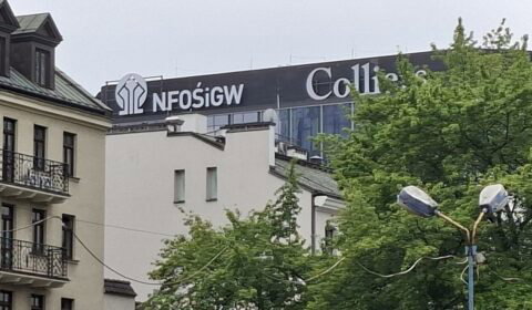 Zmiany w NFOŚiGW: Dotacjami dla prosument&oacute;w zajmie się nowy departament