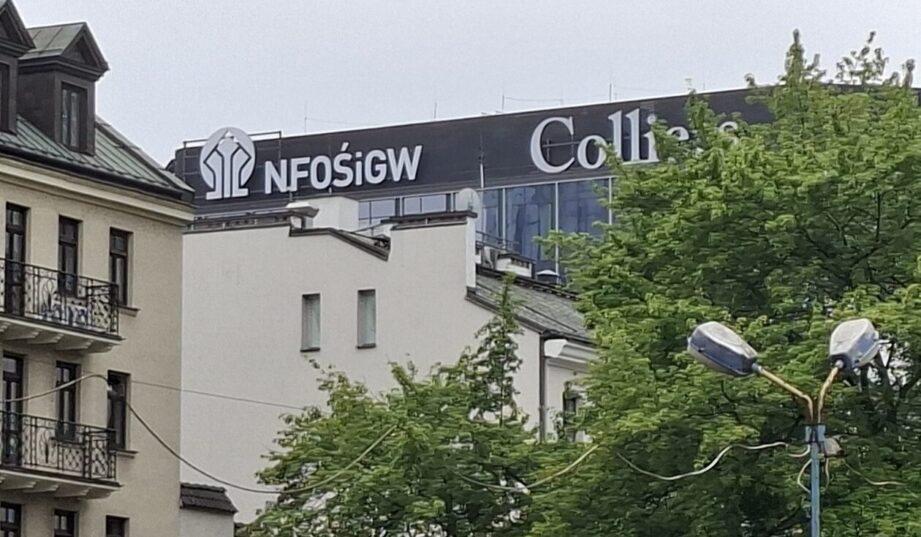 Zmiany w NFOŚiGW: Dotacjami dla prosument&oacute;w zajmie się nowy departament