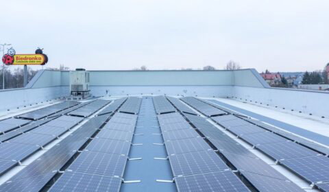 Biedronka postawiła na fotowoltaikę. Tyle energii wyprodukowały panele