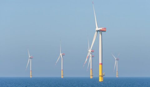 Nie będzie pełnomocnika rządu ds. morskiej energetyki wiatrowej. Resort tłumaczy dlaczego