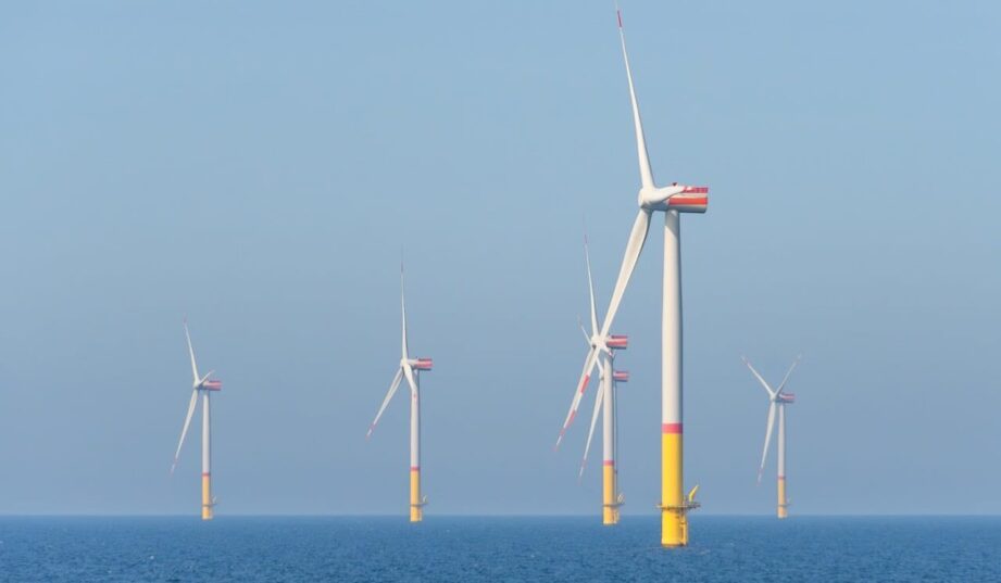 Nie będzie pełnomocnika rządu ds. morskiej energetyki wiatrowej. Resort tłumaczy dlaczego