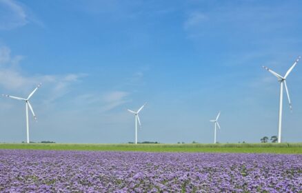 Pierwsza w Polsce farma wiatrowa dopuszczona do rynku usług bilansujących