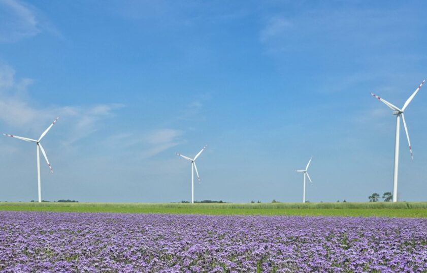 Pierwsza w Polsce farma wiatrowa dopuszczona do rynku usług bilansujących