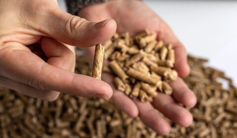 Tańszy pellet może okazać się droższy. Branża ostrzega przed częstym błędem