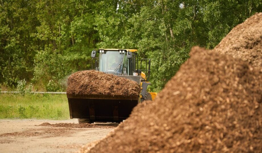Pellet drożeje, a energetyka spala go coraz więcej. NGO chcą zablokować 3 mld zł dla biomasy