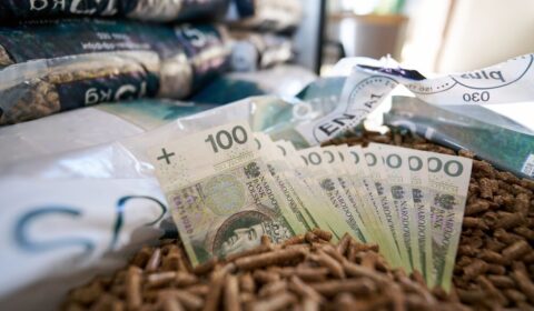 Agropellet spełnia definicję biomasy, ale nie otwiera jeszcze drogi do dotacji. Pytamy MKiŚ