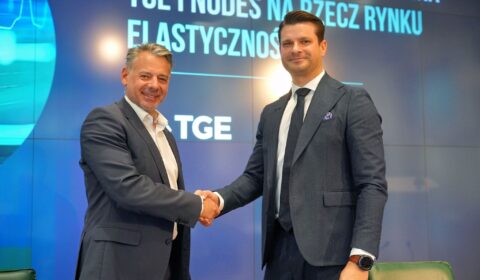 TGE inwestuje w norweską sp&oacute;łkę Nodes. Magazyny energii i OZE pomogą odciążyć sieci