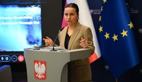 Elektrownia jądrowa przy granicy z Polską? Rząd zabrał głos
