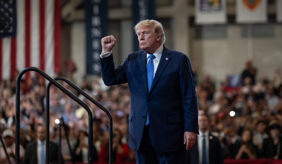 Trump przyspiesza rozw&oacute;j OZE w Europie. Niemcy szukają niezależności energetycznej