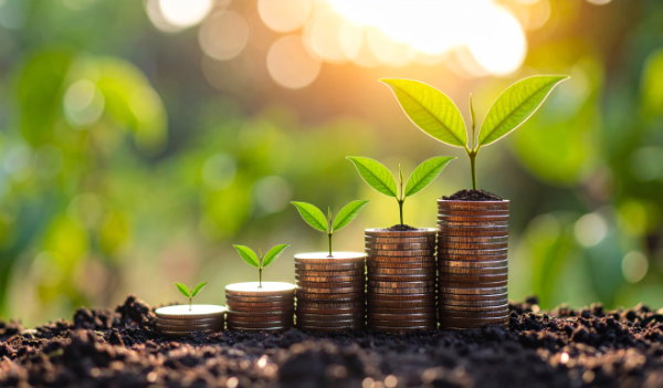 OZE – O&M Asset Management Instalacja OZE, O&M – PZU Lab, ASO Energy PRO