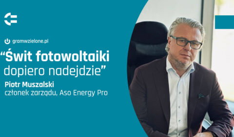 Fotowoltaika będzie rentowna tylko z magazynami energii