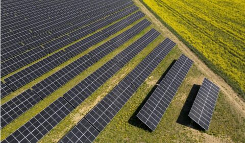 Deweloper farm fotowoltaicznych uzyskał finansowanie na inwestycje na Pomorzu