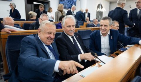 Nowe przepisy dla rynku OZE idą do prezydenta. Senat nie zgłosił poprawek