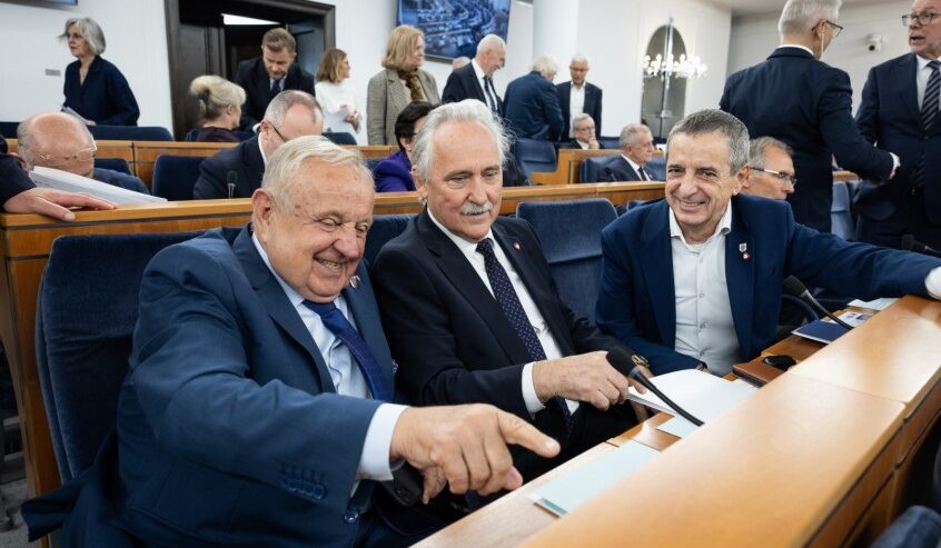 Nowe przepisy dla rynku OZE idą do prezydenta. Senat nie zgłosił poprawek